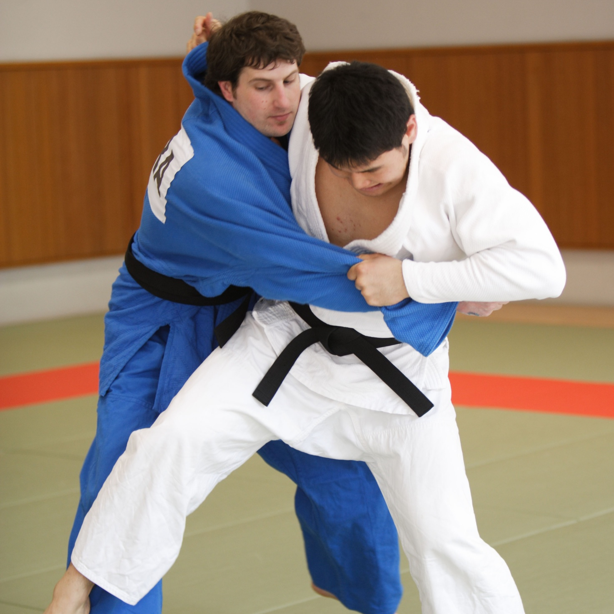 Espíritu, Técnica y Fuerza Física — 心技体 (Shin-Gi-Tai)