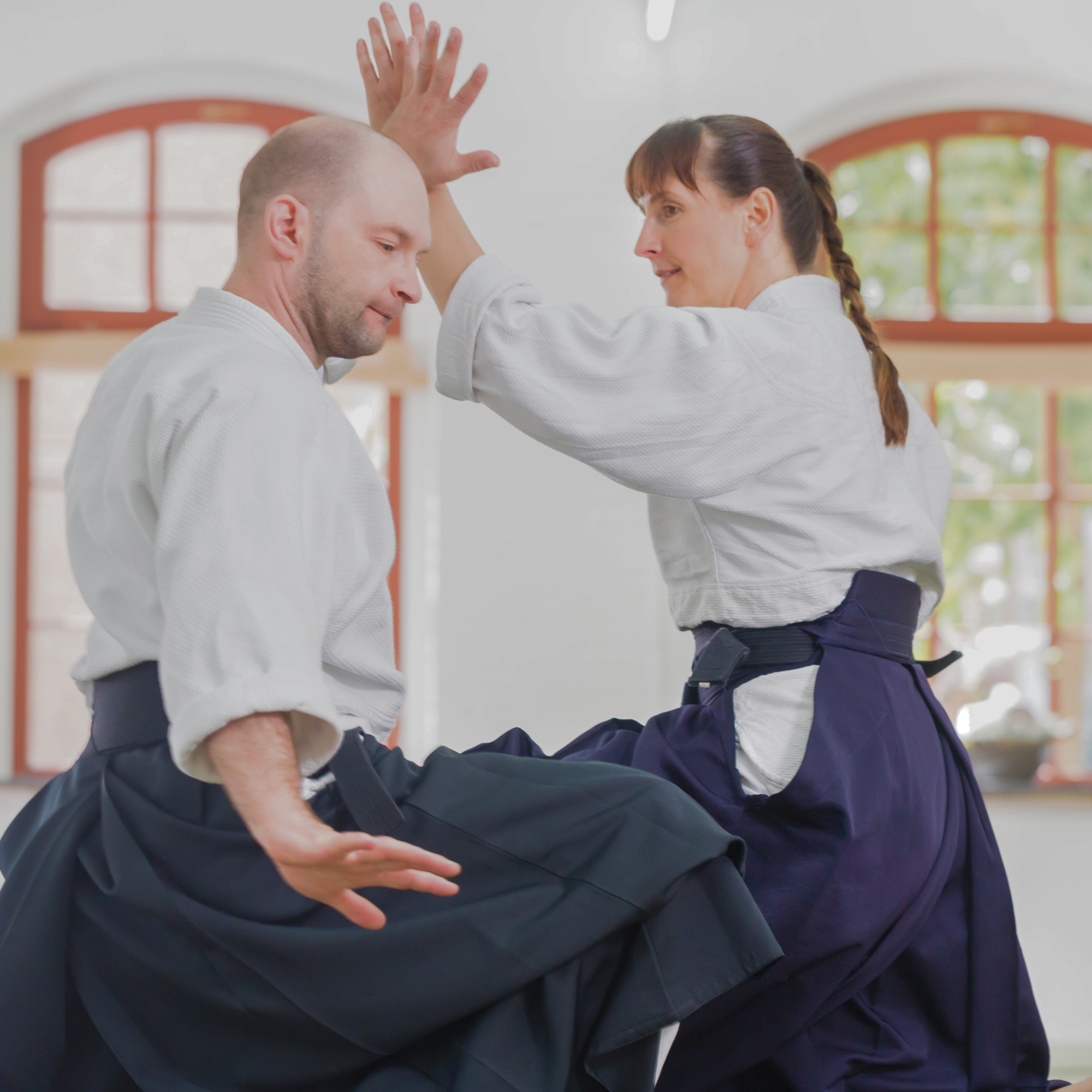 Espíritu, Técnica y Fuerza Física — 心技体 (Shin-Gi-Tai)
