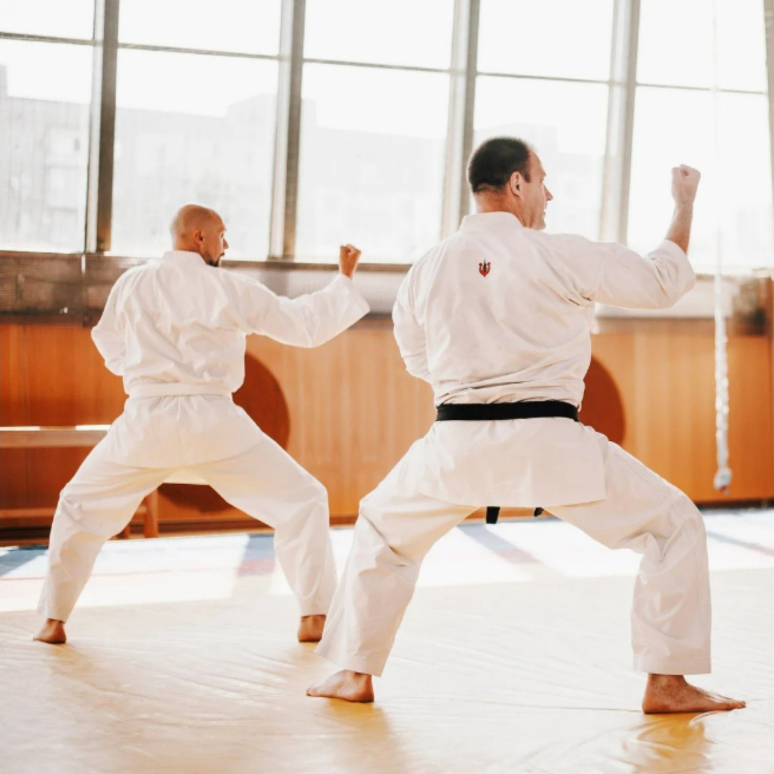 El Camino de la Maestría en las Artes Marciales — 守破離 (Shu-Ha-Ri)