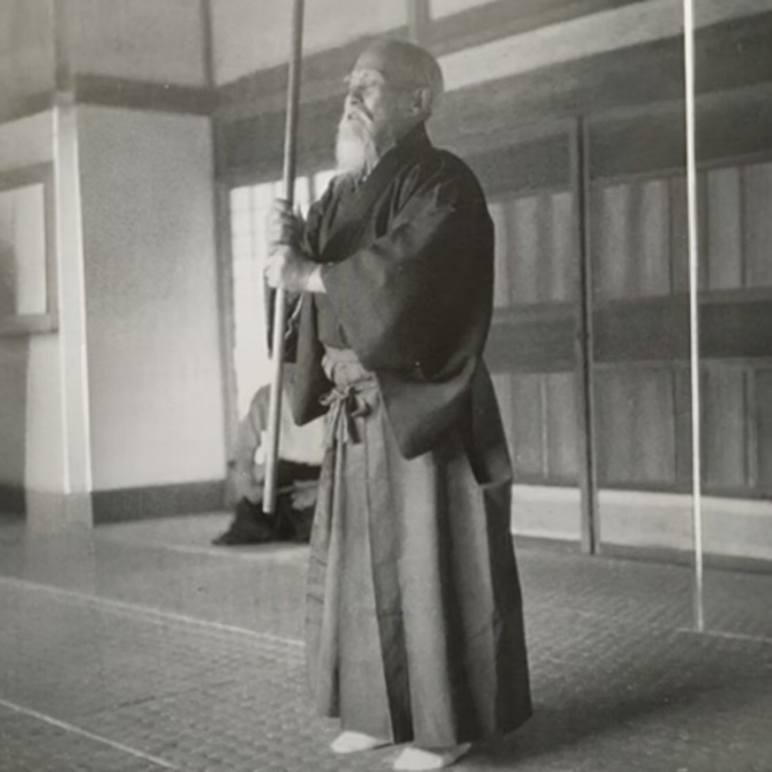 El Poder Creativo del Aikido — 武産合気 (Takemusu Aiki) por Yuka